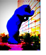 Denver Bear